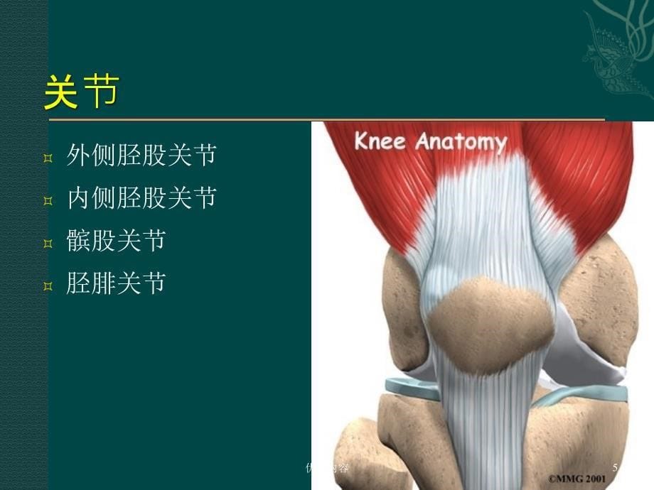 膝关节前交叉韧带损伤的诊疗参考材料_第5页