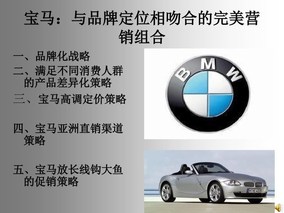 BMW与品牌定位_第5页