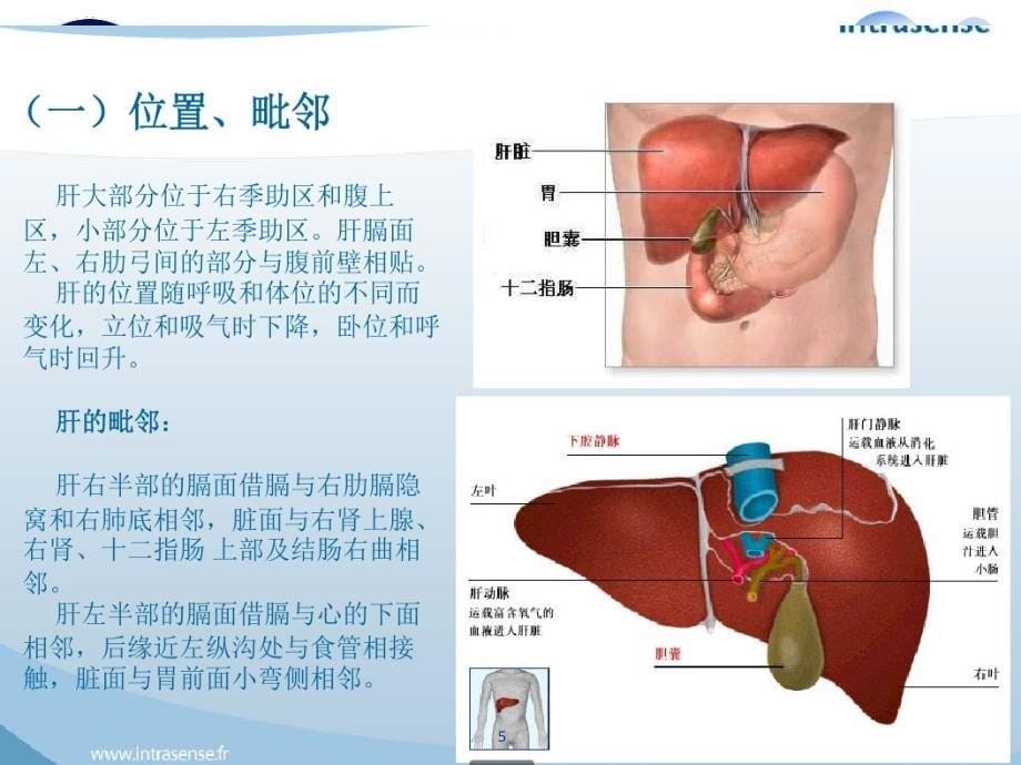 肝超声诊断PPT课件.ppt_第5页