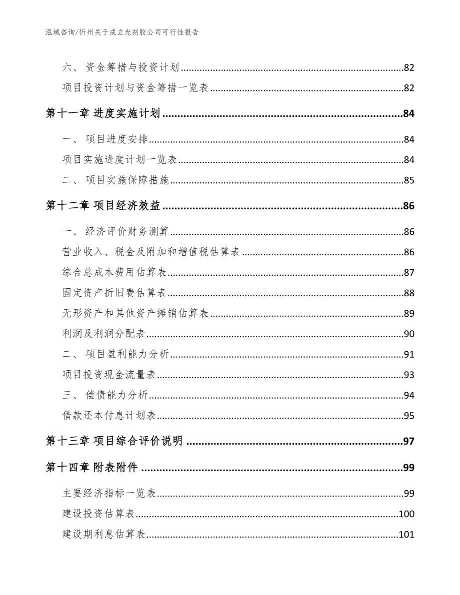 忻州关于成立光刻胶公司可行性报告_第5页