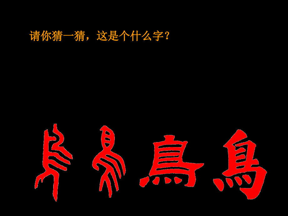 小学美术课件美丽的鸟ppt_第1页