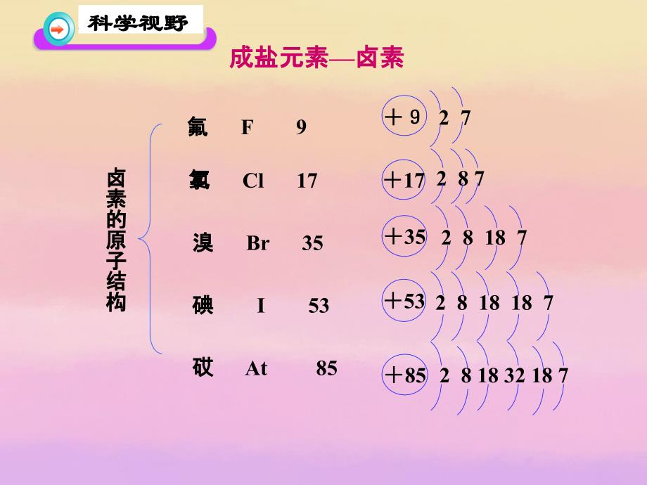 四川省大英县育才中学高一化学《富集在海水中的元素-氯》课件2 新人教版_第4页