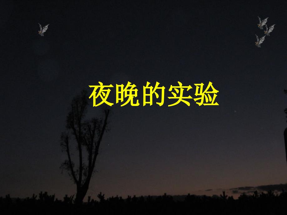 夜晚的实验课件_第1页