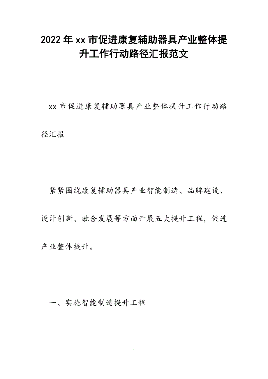 xx市促进康复辅助器具产业整体提升工作行动路径汇报.docx_第1页