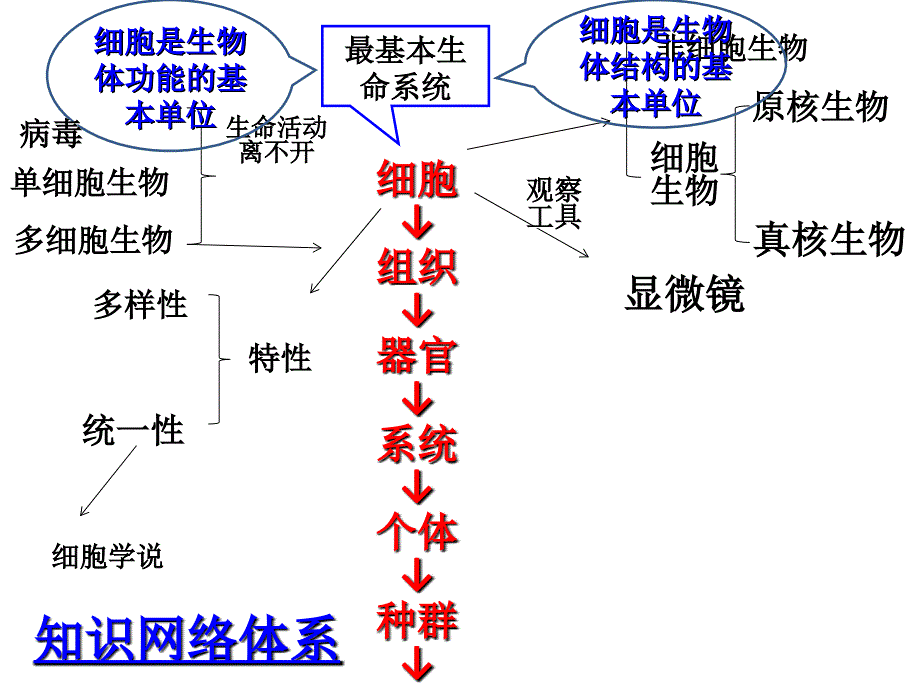 第一讲走近细胞教学课件名师编辑PPT课件_第3页