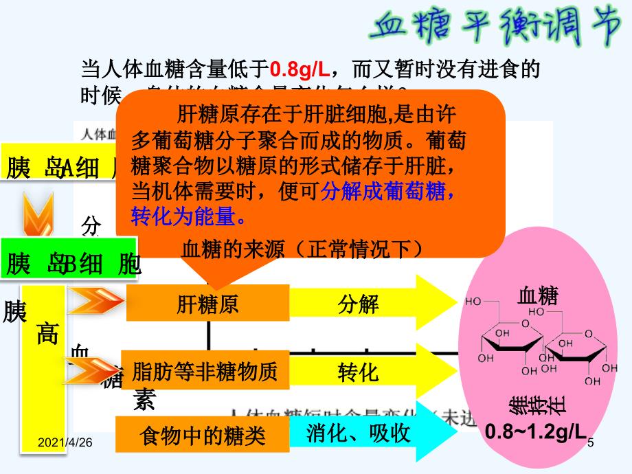 人体血糖平衡调节--激素调节实例_第5页