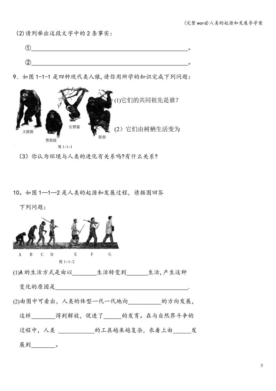 (完整word)人类的起源和发展导学案.doc_第5页