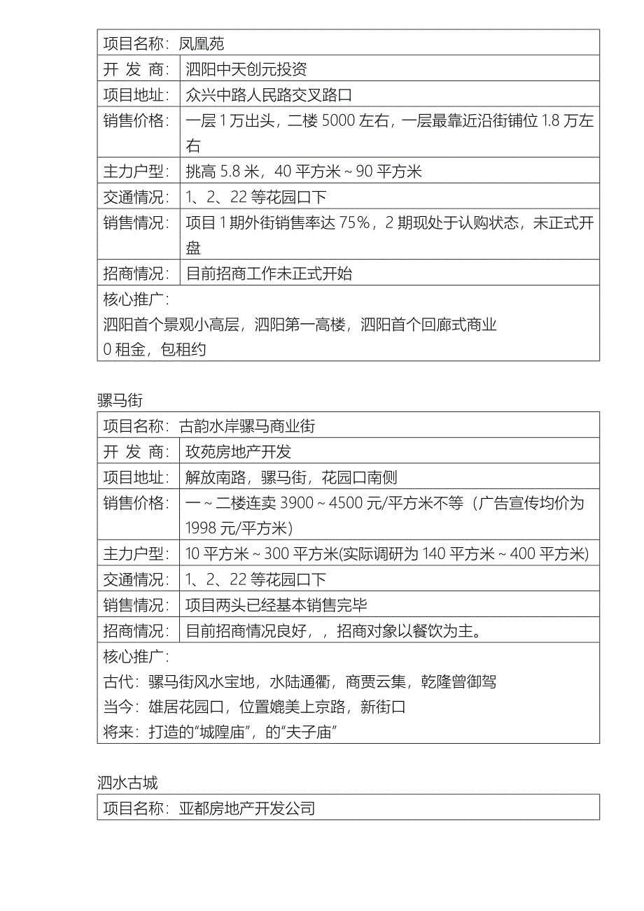 泗阳商业项目定位报告_第5页