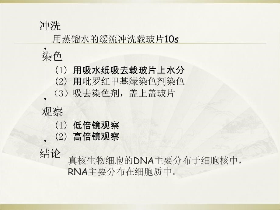 2.3遗传信息的携带者核酸叶银燕_第5页