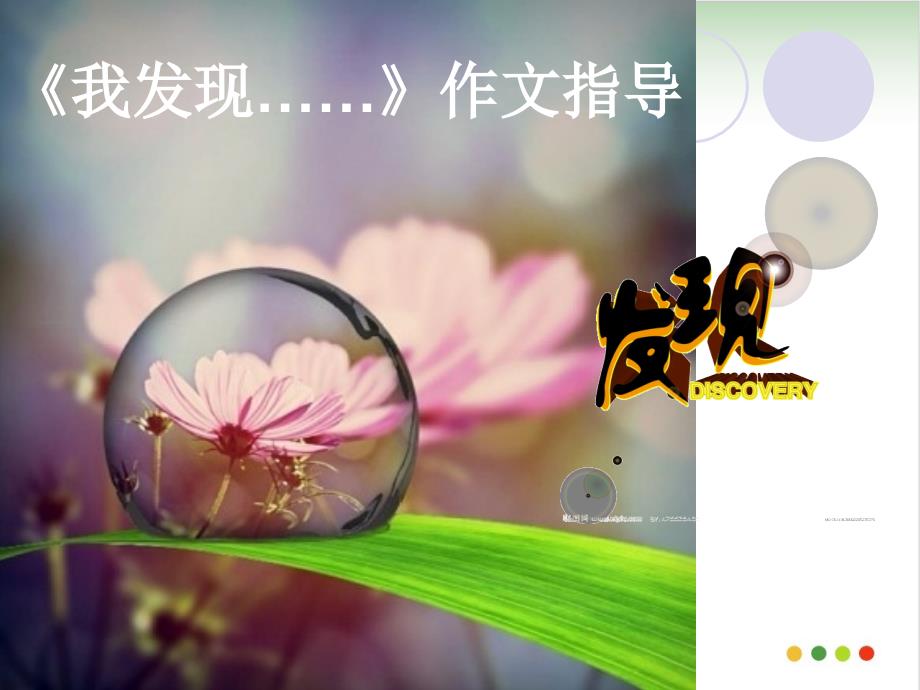 《我发现了_____》半命题作文-ppt(完美版)课件_第1页