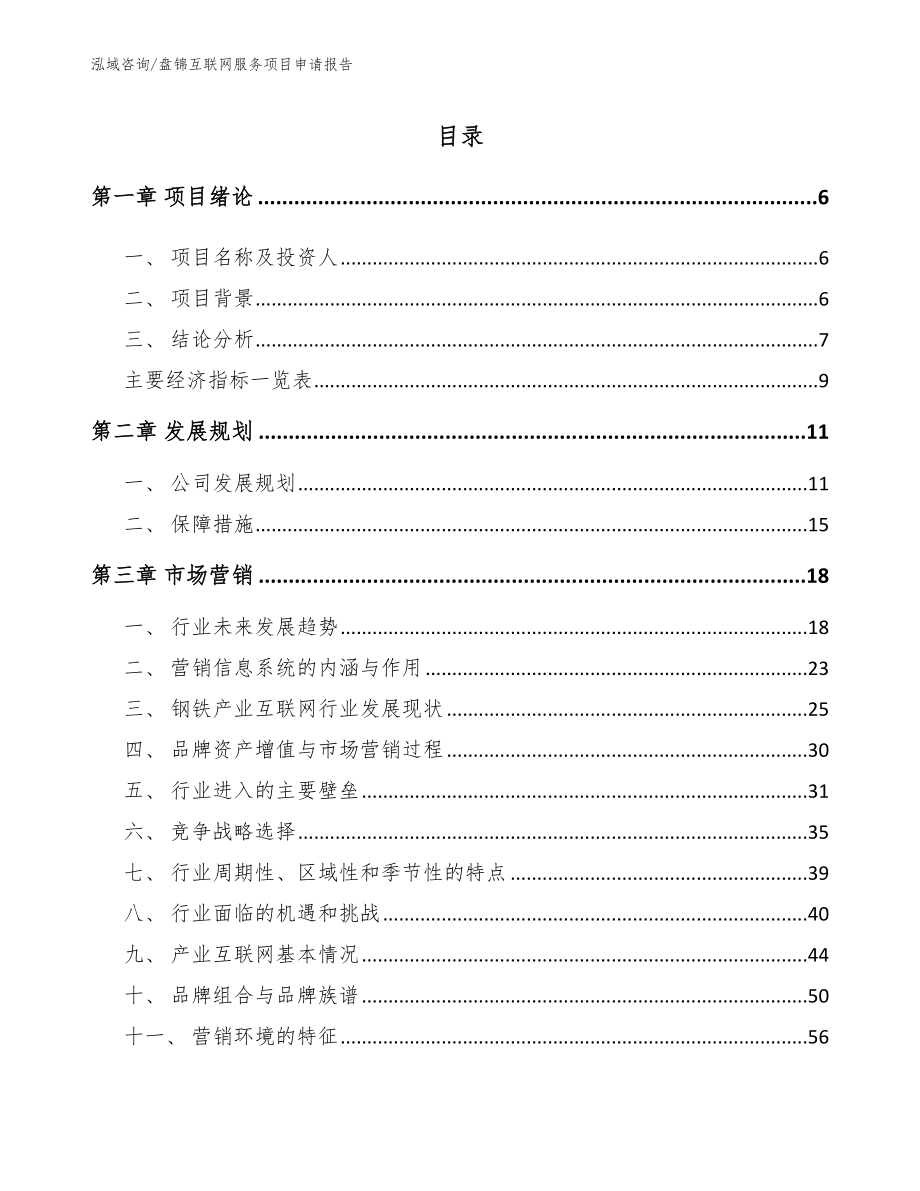 盘锦互联网服务项目申请报告（模板）_第2页