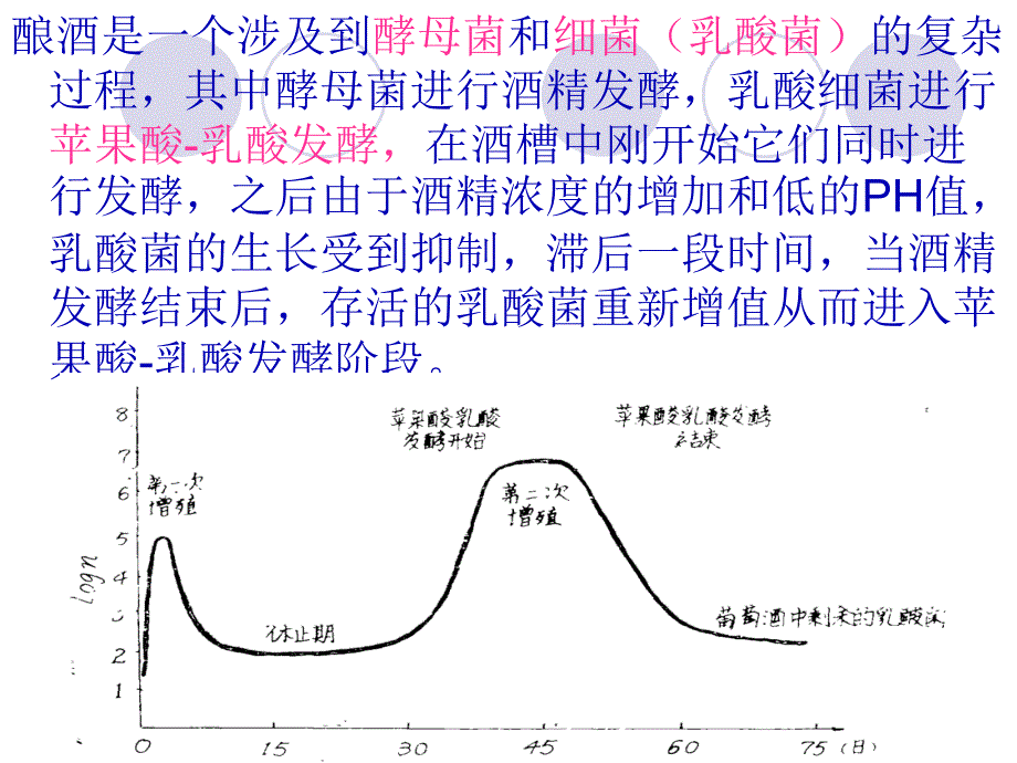 苹果酸乳酸发酵_第3页