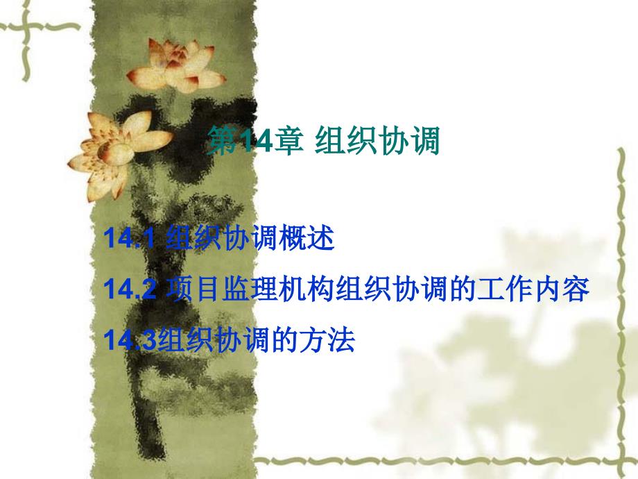 《组织协调》PPT课件.ppt_第1页