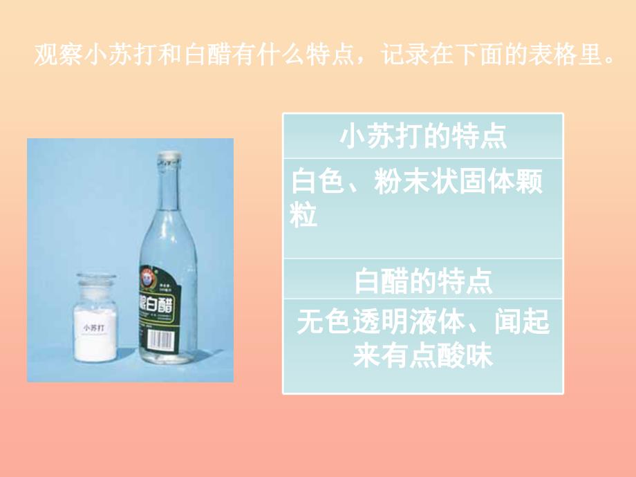 六年级科学下册 第二单元 物质的变化 4小苏打和白醋的变化课件1 教科版_第2页