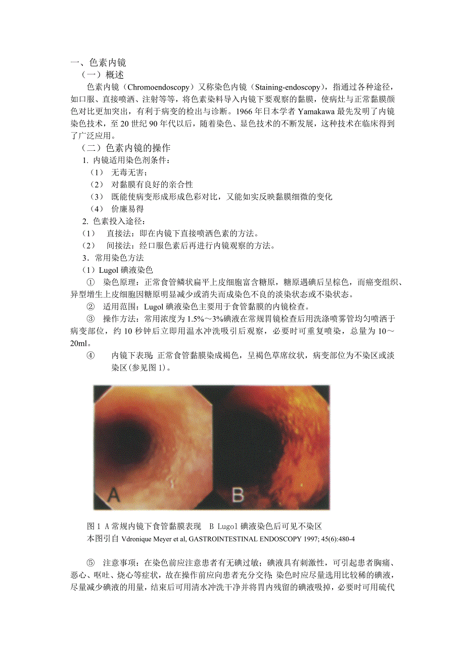 放大内镜、色素内镜.doc_第1页