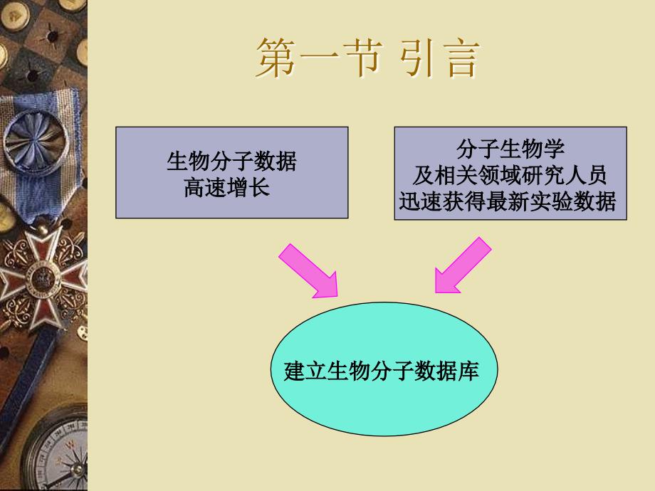 第四章生物分子数据库_第2页