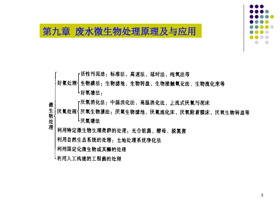 废水微生物处理原理与应用_第3页