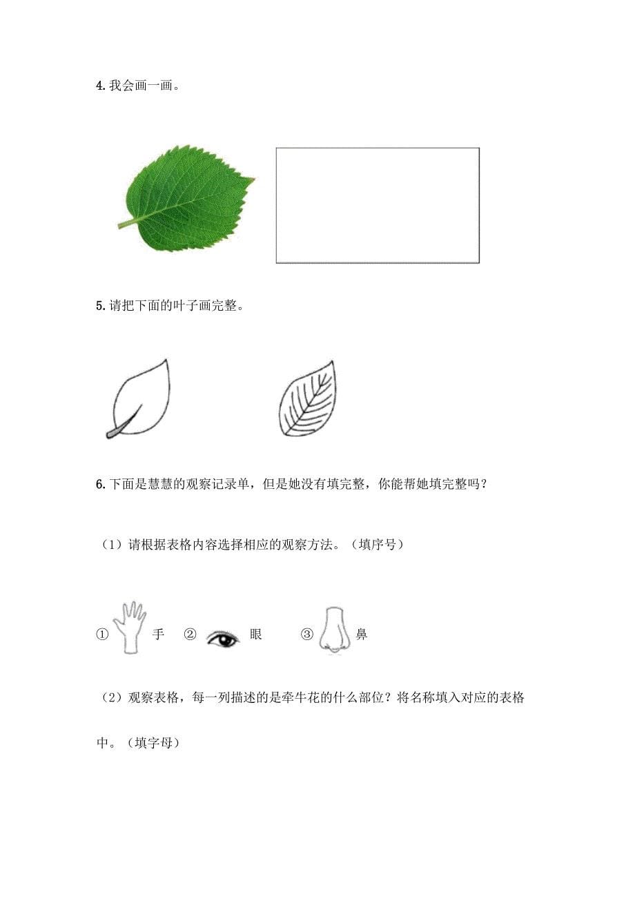 教科版科学一年级上册第一单元《植物》测试卷【重点】.docx_第5页