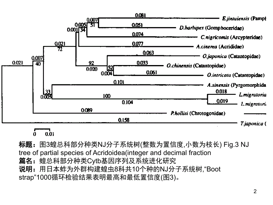 如何解释进化树文档资料_第2页