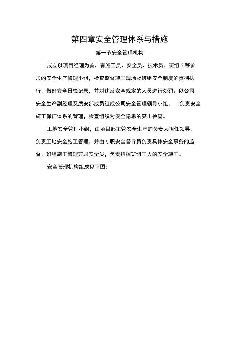 安全系统管理系统体系与要求措施78169_第1页