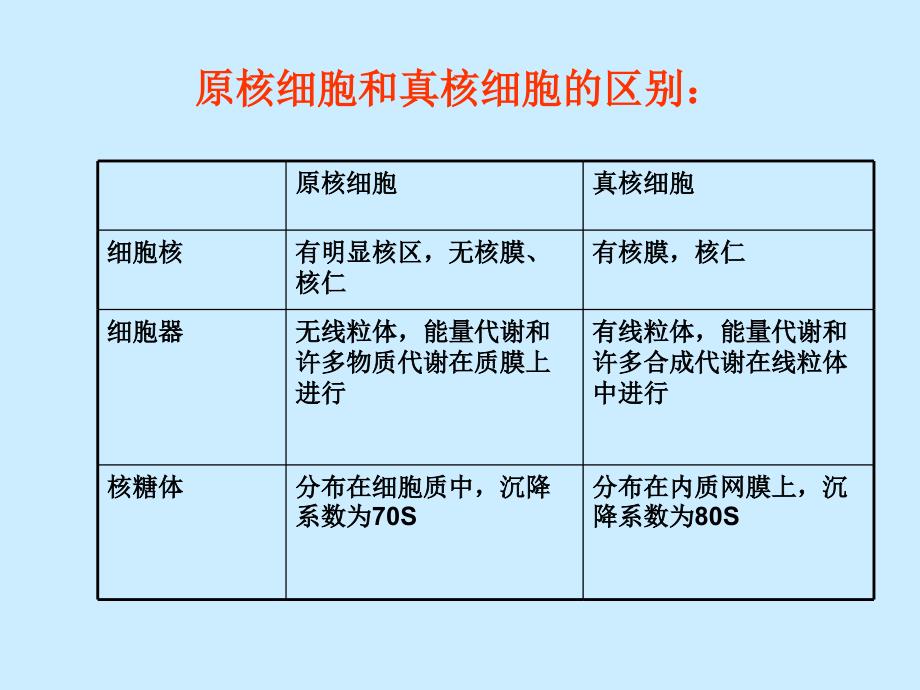 细菌学概论PPT课件_第3页