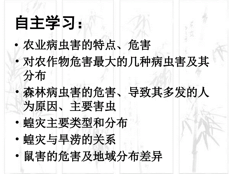 中国的生物灾害参考课件1_第4页