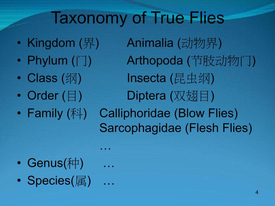 DC001医学资料法医昆虫学_第4页