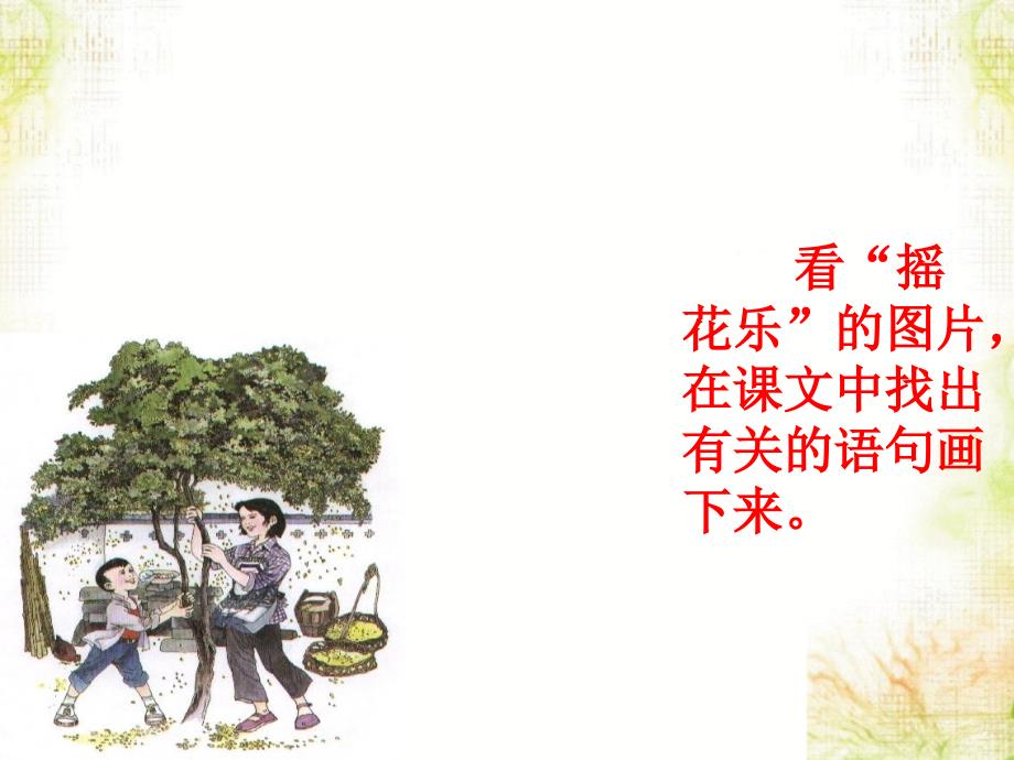 部编版桂花雨教学课件_2_第4页