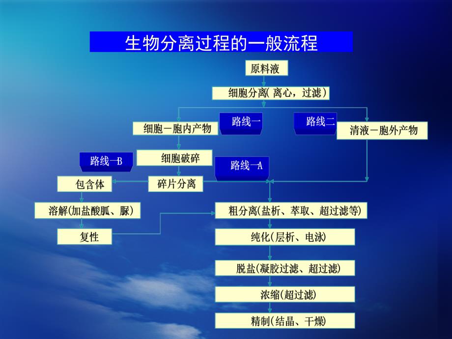 生物制药下游技术第三章_第4页