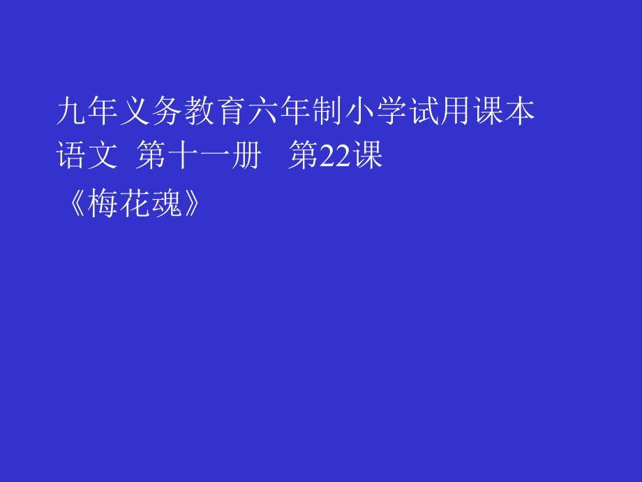 《梅花魂》课件【13页】_第1页