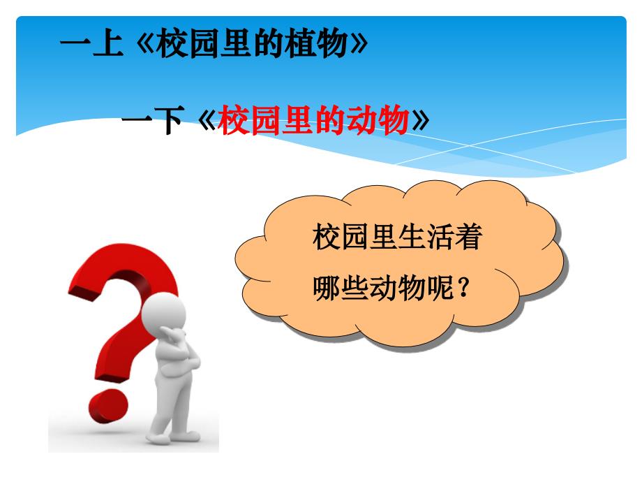 科教版一年级下册科学第二单元2、校园里的动物_第3页