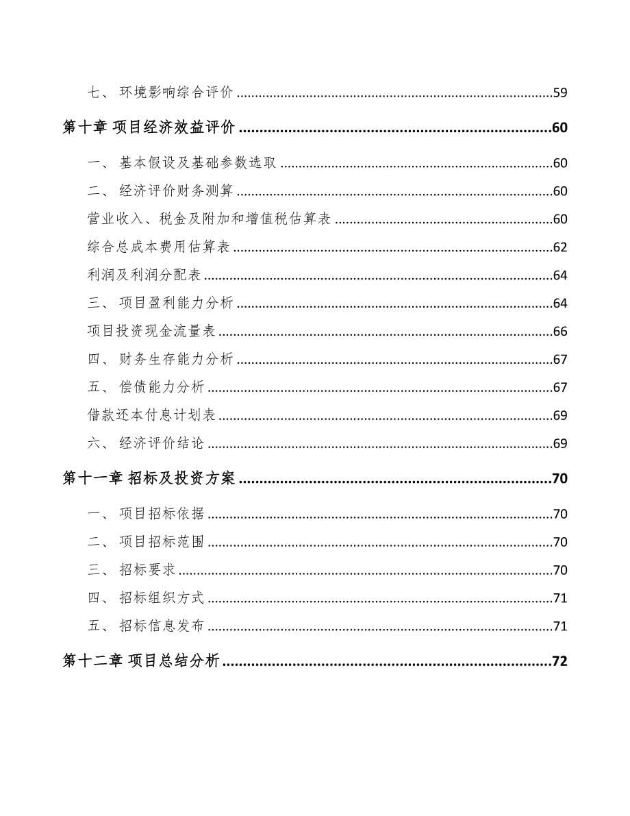 广东精密冲压模具项目可行性研究报告(DOC 50页)_第5页