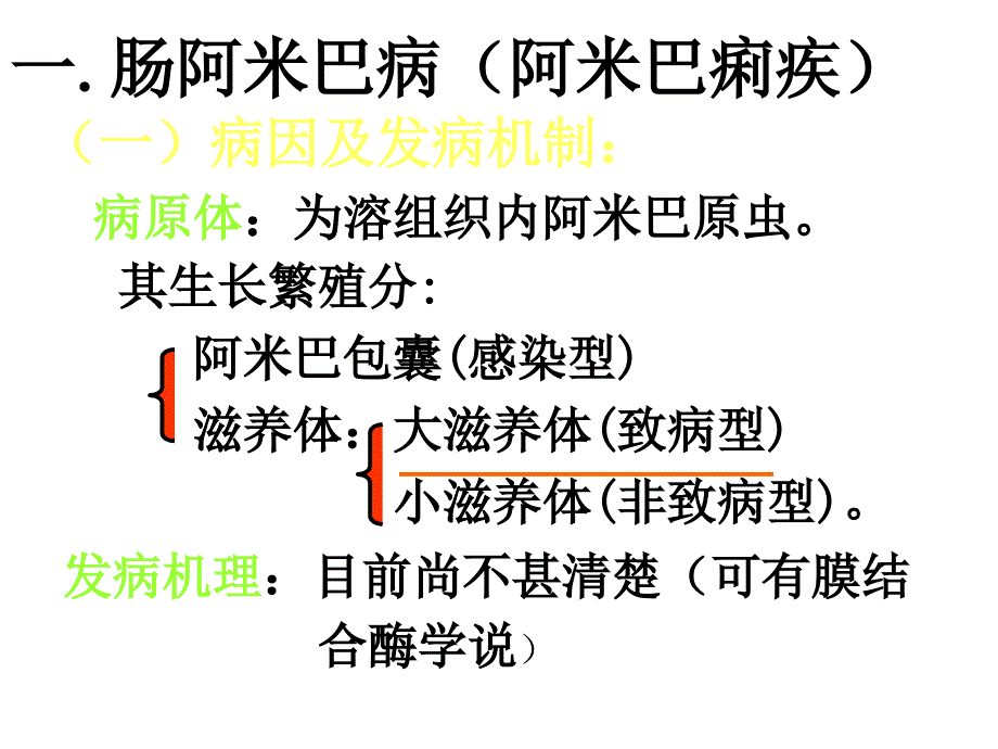 病理解剖学寄生虫病_第4页