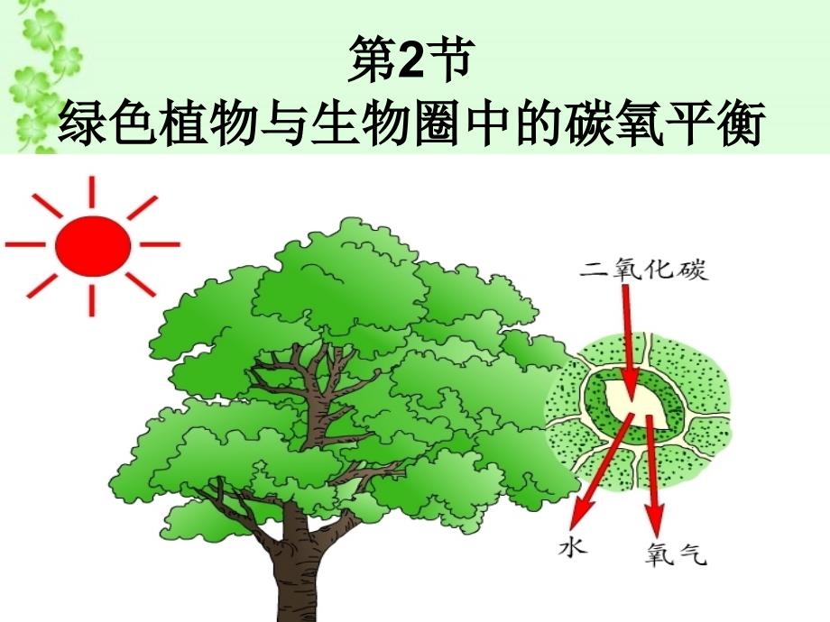 苏科版初中生物八上第六单元18.2《绿色植物与生物圈中的碳---氧平衡》 (共24张PPT)_第2页