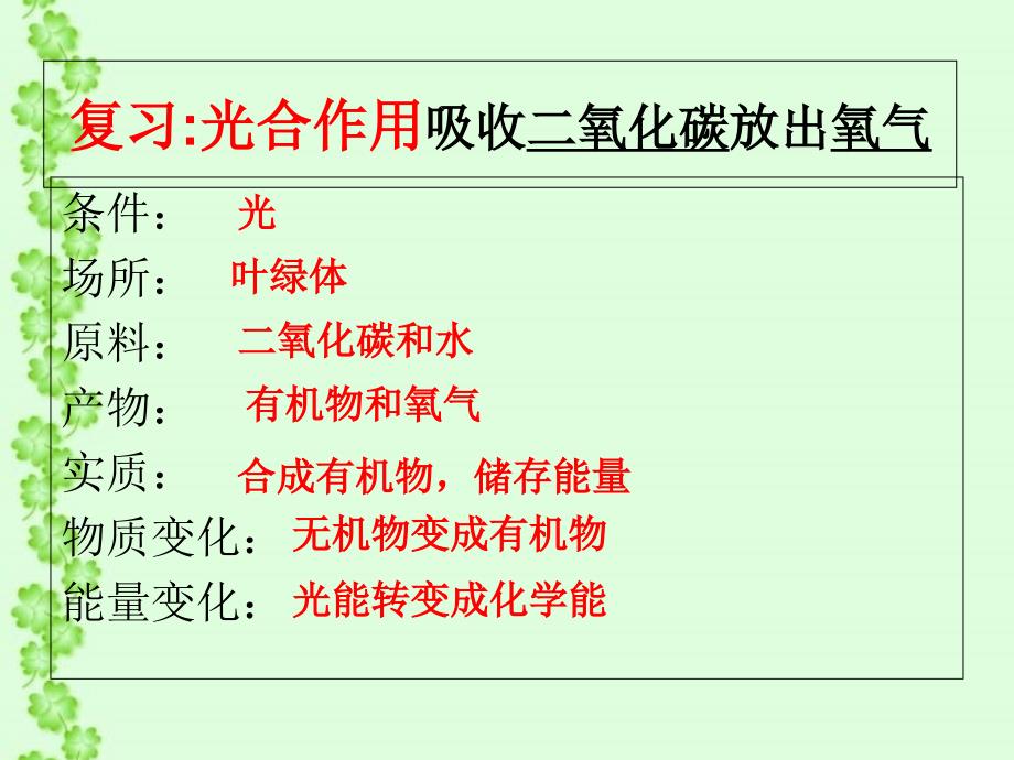 苏科版初中生物八上第六单元18.2《绿色植物与生物圈中的碳---氧平衡》 (共24张PPT)_第4页