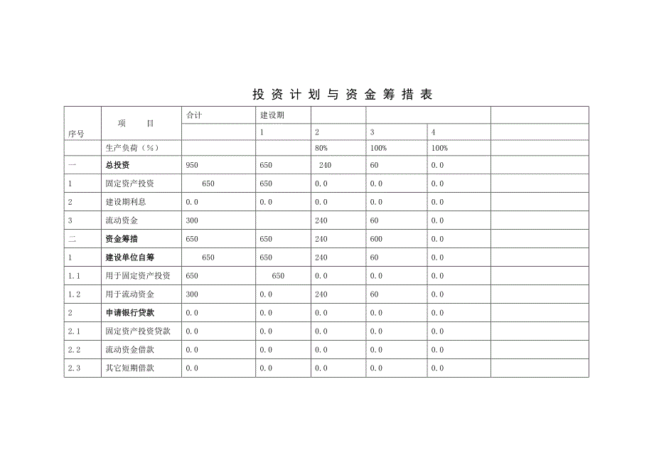 投资计划与资金筹措表_第1页