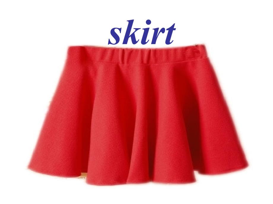 Unit 1 Lesson 1 Skirt and Trousers 课件（共12张PPT）_第4页