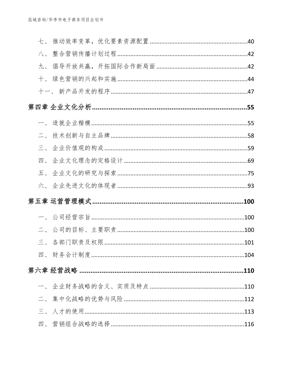 华亭市电子商务项目企划书_范文_第2页