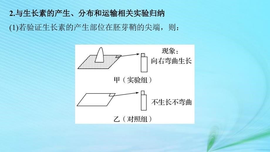 （江苏专用）高考生物二轮复习 专题八 植物的激素调节 考点24 生长素的发现、产生、分布及运输课件_第5页