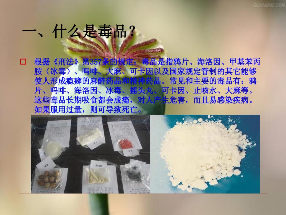 主题班会（珍爱生命远离毒品）课件_第4页