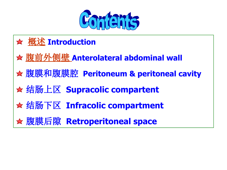 腹部局部解剖.ppt_第3页