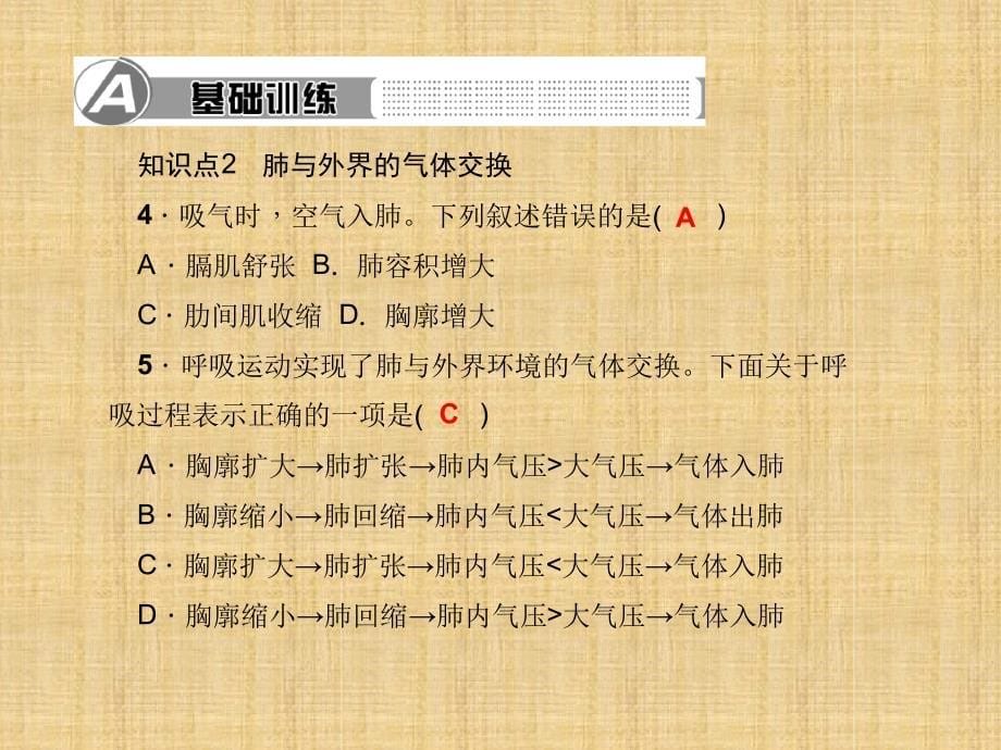 初中七年级生物下册32发生在肺内的气体交换第1课时肺与外界的气体交换名师优质课件新版新人教_第5页