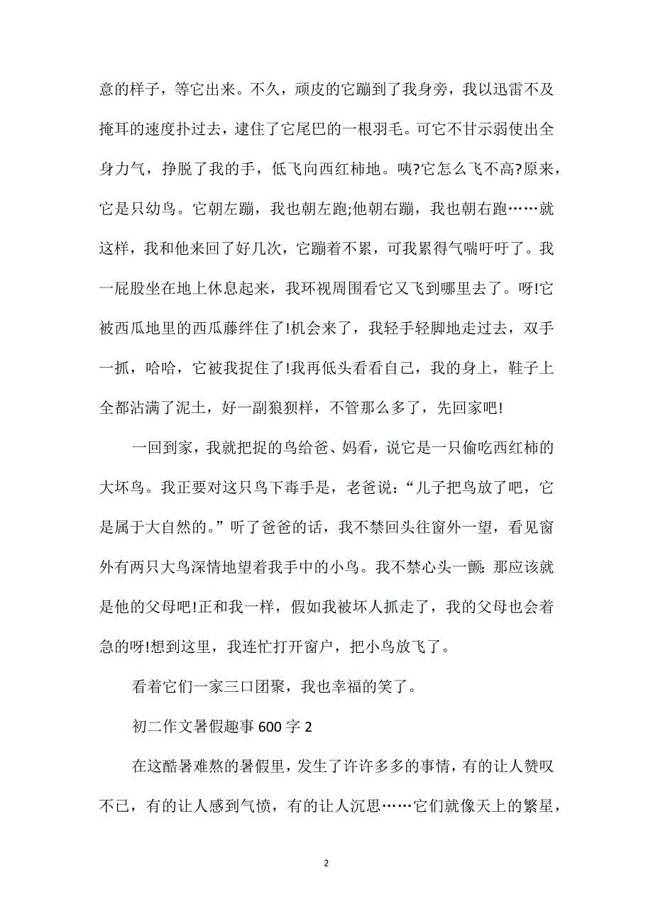 初二作文暑假趣事600字_第2页