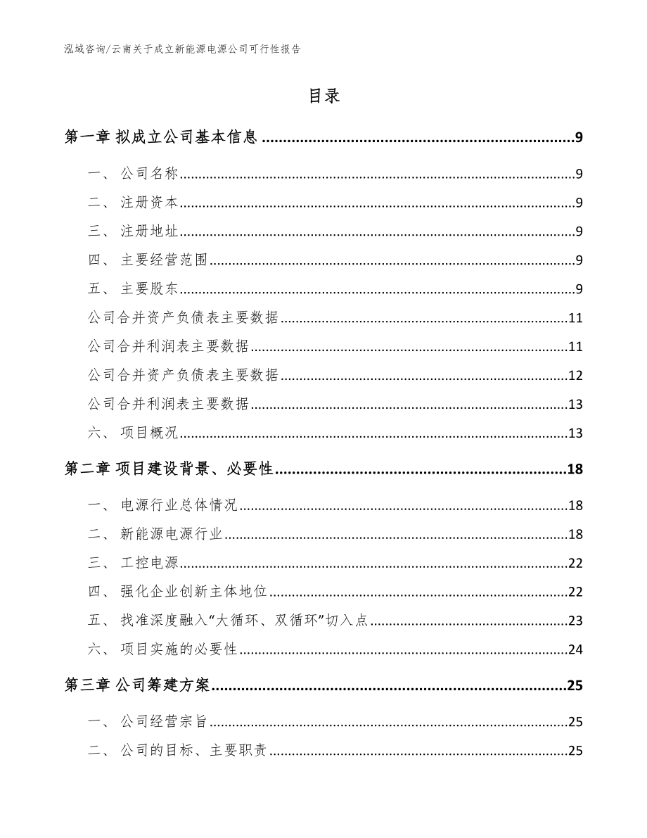 云南关于成立新能源电源公司可行性报告_范文模板_第2页