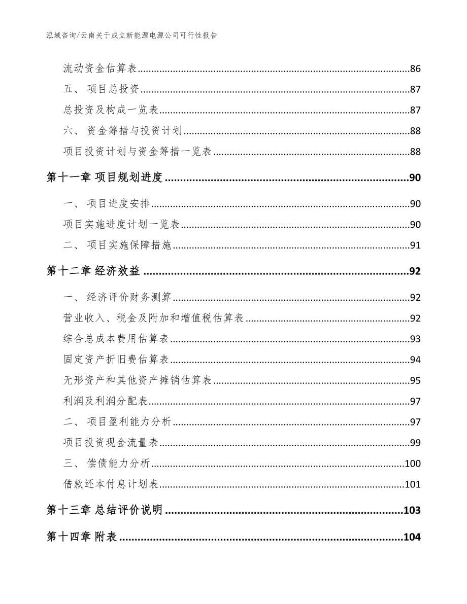 云南关于成立新能源电源公司可行性报告_范文模板_第5页