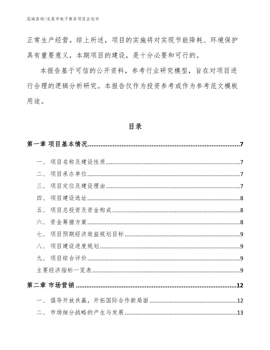 龙泉市电子商务项目企划书【模板范文】_第2页