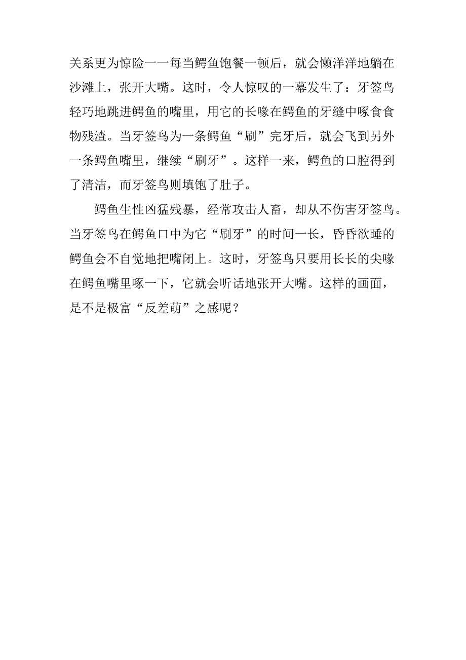 动物之间是朋友_第3页