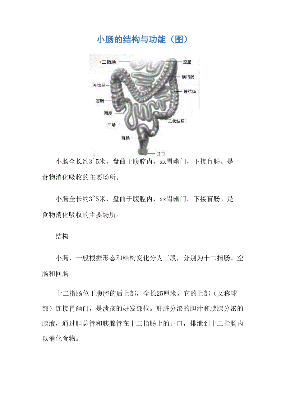 小肠的结构与功能_第1页