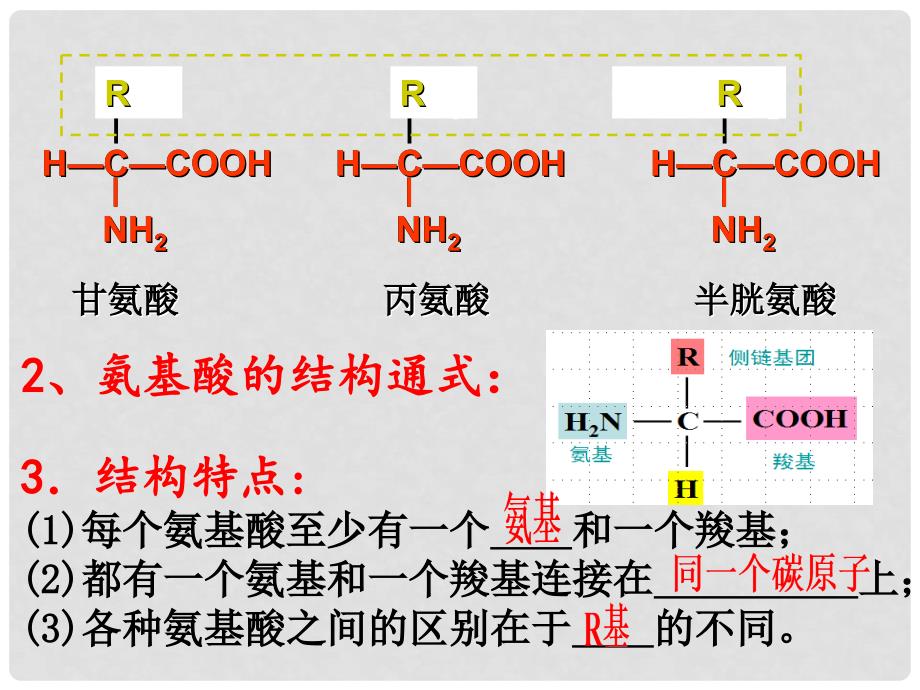 湖南省衡阳县高三生物一轮复习 第3讲 蛋白质（第一课时）课件 新人教版必修1_第3页