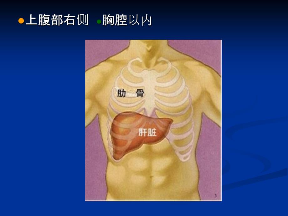 沈阳肝炎医院哪家好乙肝基础知识讲座_第4页